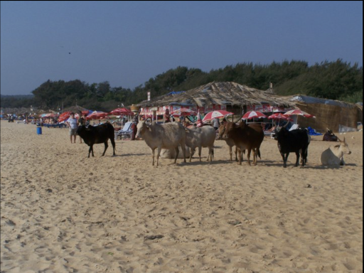 INDE -GOA- Arambol