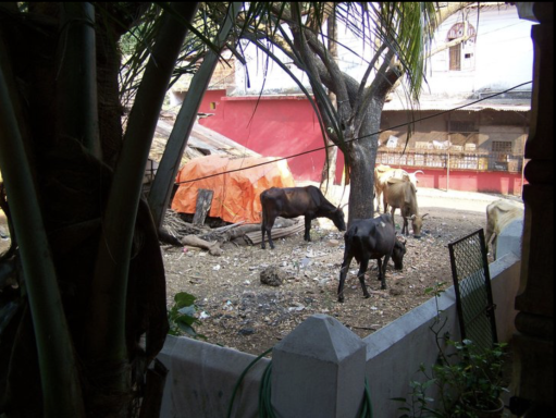 INDE -GOA